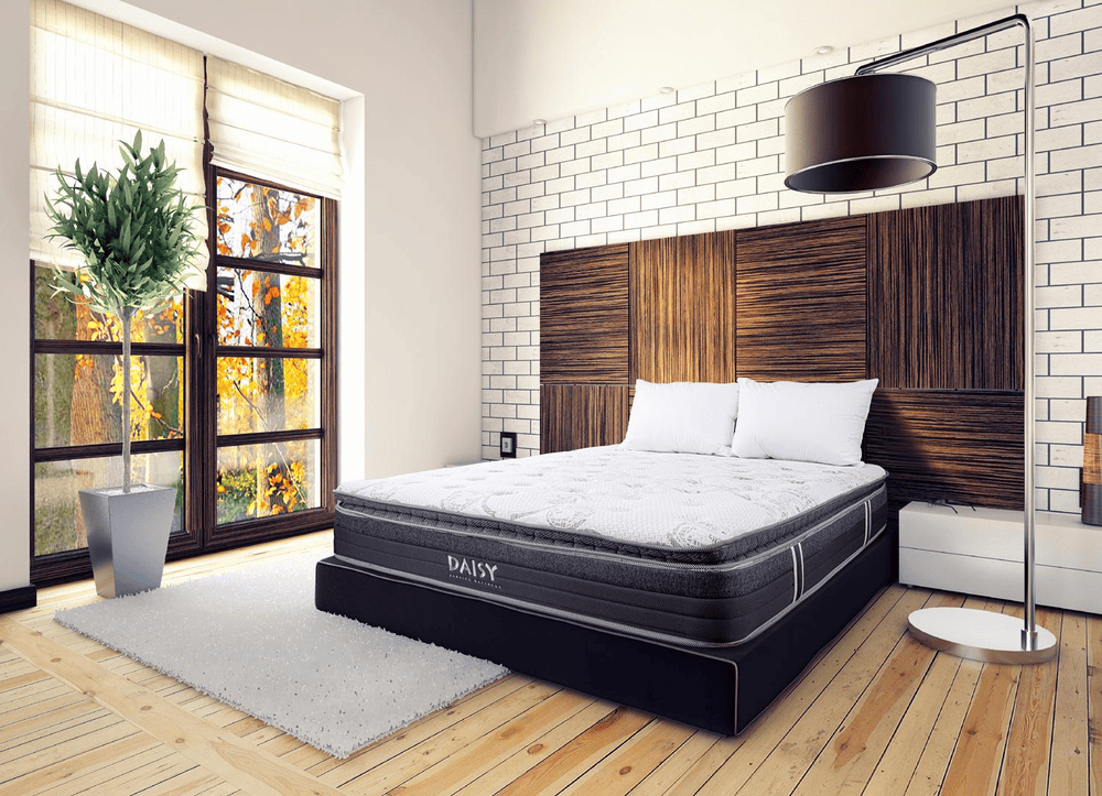 ImgHunt_Com_20260119_daisy-1-copy