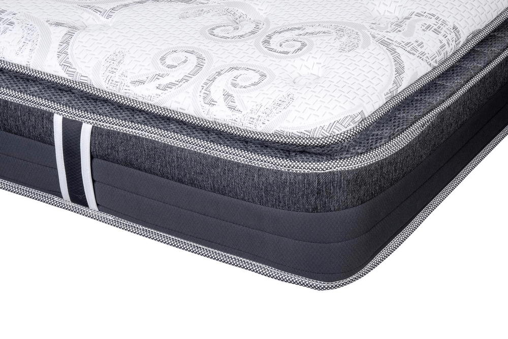 ImgHunt_Com_20260119_daisy-2-copy