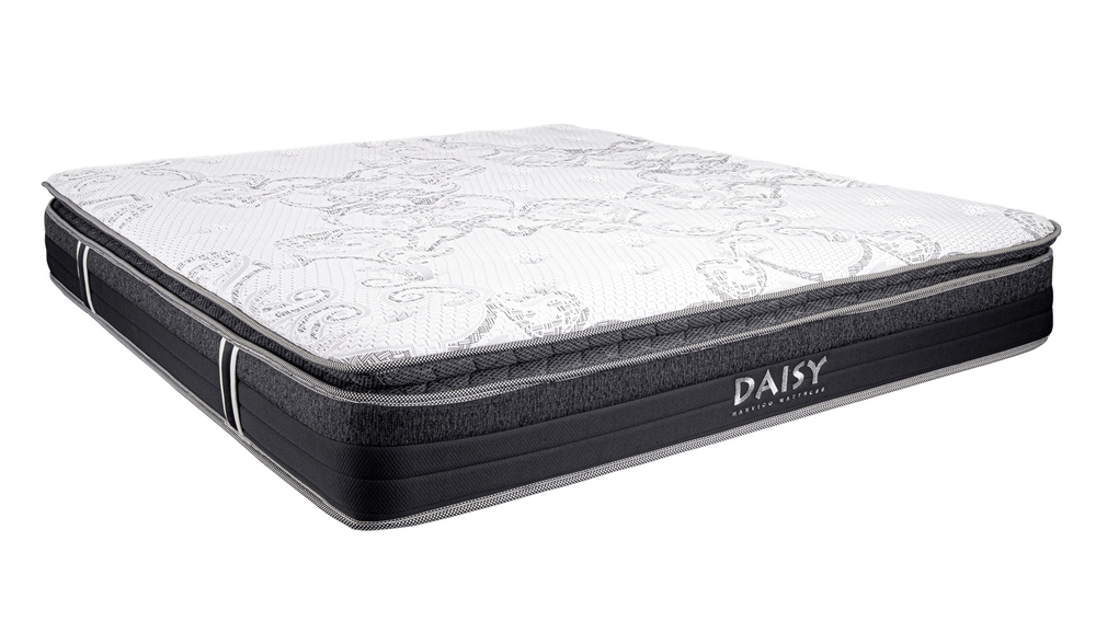 ImgHunt_Com_20260119_daisy-4