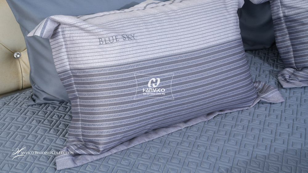 ImgHunt_Com_20251220_dls228-03