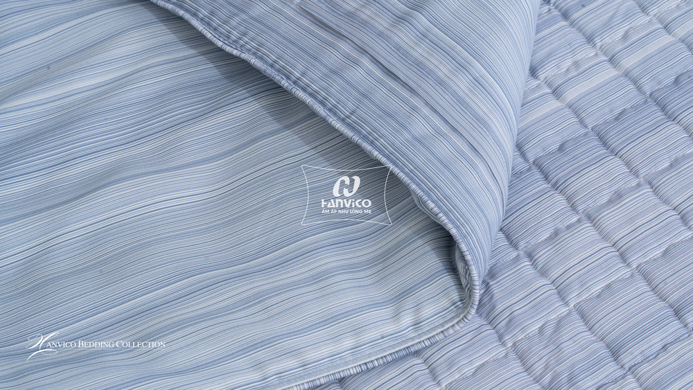 ImgHunt_Com_20251220_dlt238-03